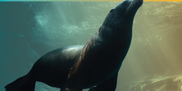 Fetch, a dvm360 conference Dec 4–5 2026